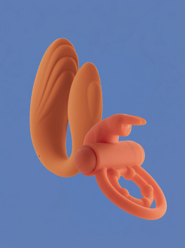 Couples' Toys